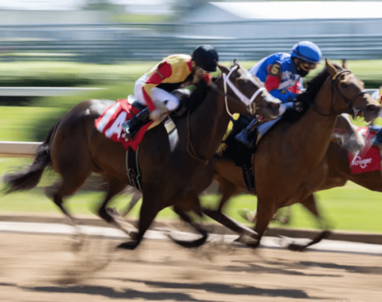 Horse racing industry