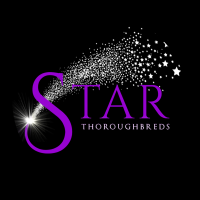 200925-StarThoroughbreds-Social-SocialLogo-FinalLogo