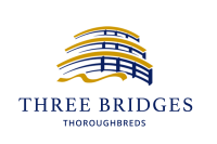 Three Bridges logo